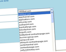 Brand your websites